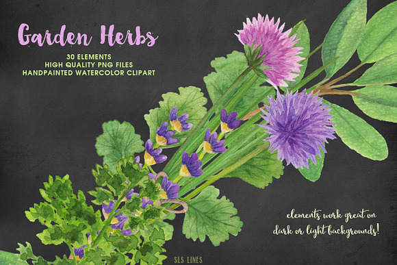 Herb Garden Watercolor Illustrations in Illustrations - product preview 5