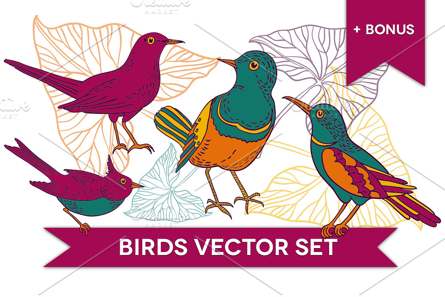Birds vector set in Illustrations - product preview 8