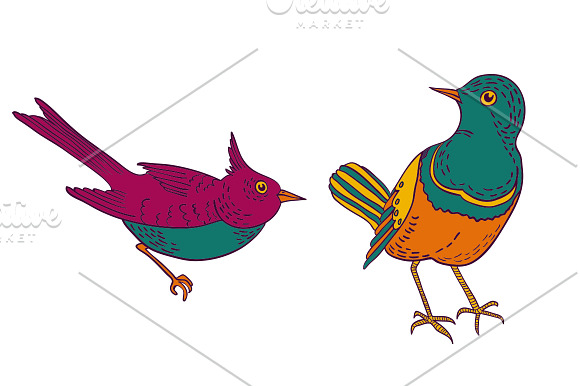 Birds vector set in Illustrations - product preview 1