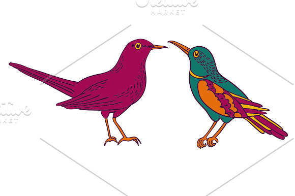 Birds vector set in Illustrations - product preview 2