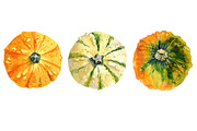 Watercolor pumpkins