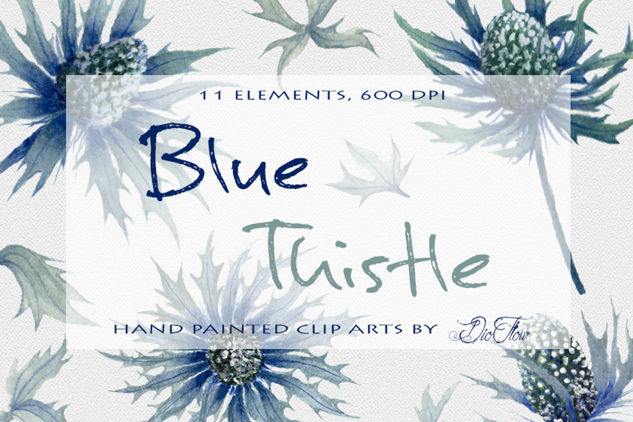 Blue Thistle Watercolor Clip Art