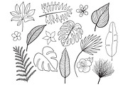 Hand drawn tropical leaves silhouette vector set. Set Leaf. Exotics. Vintage vector botanical illustration.