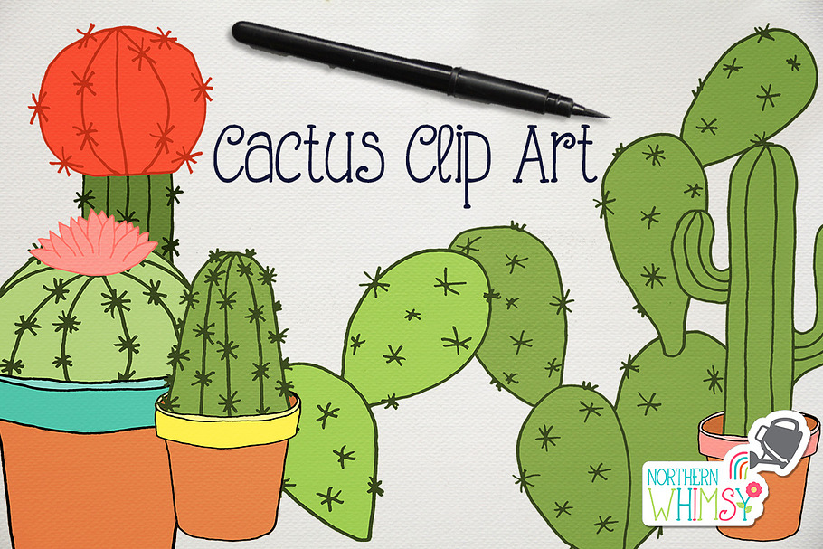 Cactus & Succulent Illustrations