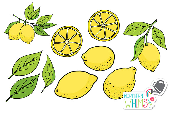 Lemon Illustrations in Illustrations - product preview 1
