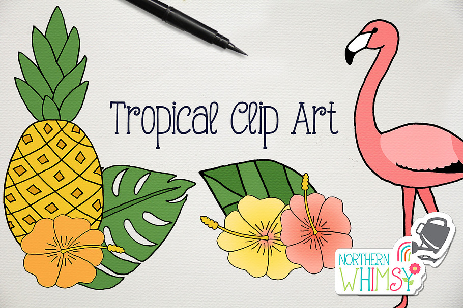 Tropical Illustrations