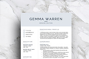 3 Page Resume Template | CV
