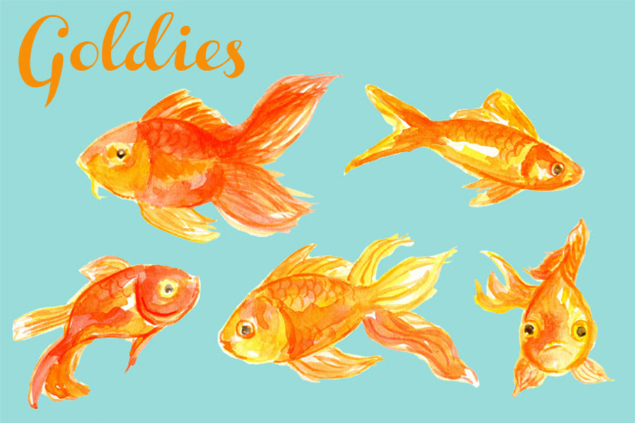 Watercolor Goldfish Illustration in Illustrations - product preview 8
