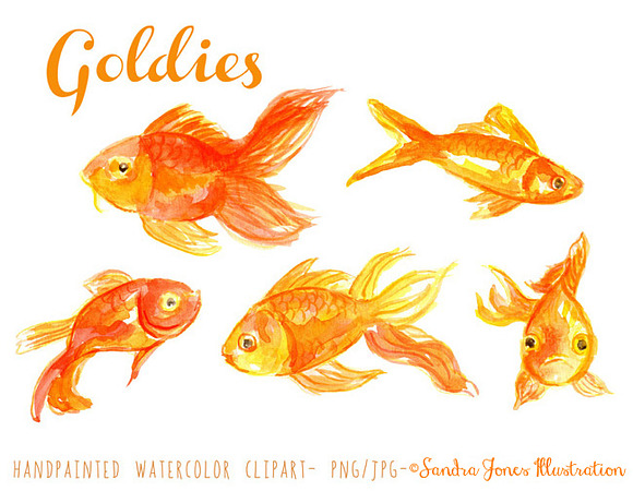 Watercolor Goldfish Illustration in Illustrations - product preview 1