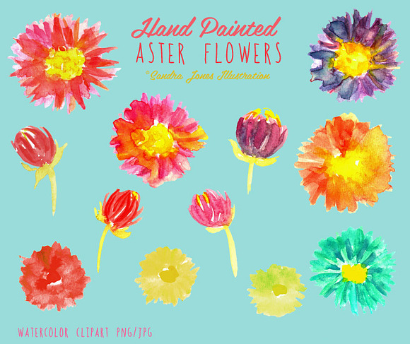 Watercolor Aster Flowers in Illustrations - product preview 1
