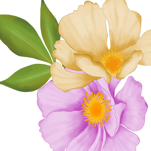 Flower clipart in Illustrations - product preview 2