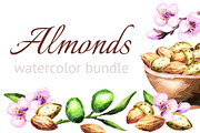 Almonds bundle. Watercolor