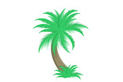 Palm tree vector illustration