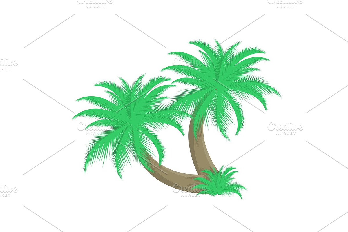 Two palm trees vector illustration in Objects - product preview 8