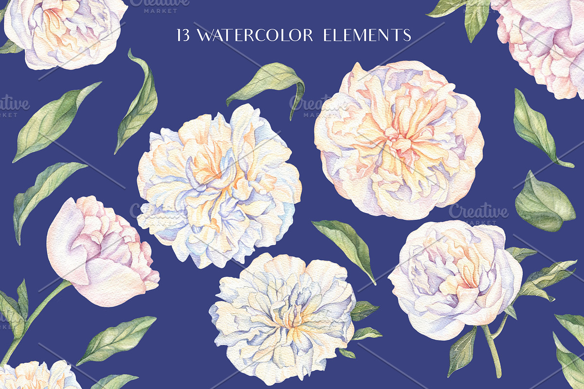 White Peonies-Watercolor Set in Illustrations - product preview 8