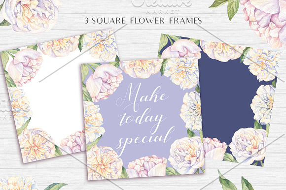 White Peonies-Watercolor Set in Illustrations - product preview 3