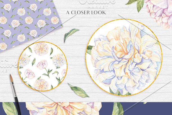 White Peonies-Watercolor Set in Illustrations - product preview 6