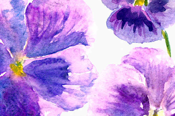 Watercolor Pansies Clip Art Set  in Objects - product preview 3