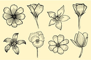 vector flowers set.