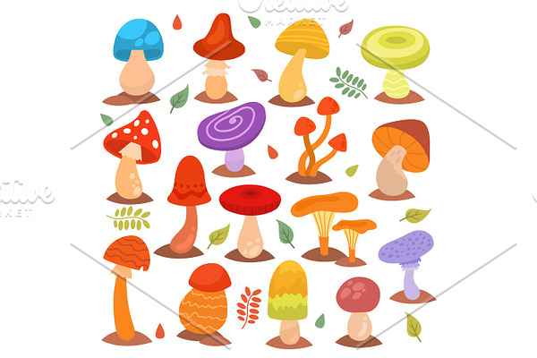 Different cartoon mushrooms isolated on white nature food design collection fungus plant vector illustration