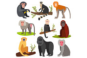 Different cartoon monkey breed character animal wild zoo ape chimpanzee vector illustration.