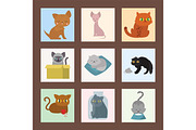 Cute cats cards character different pose funny animal domestic kitten vector illustration.