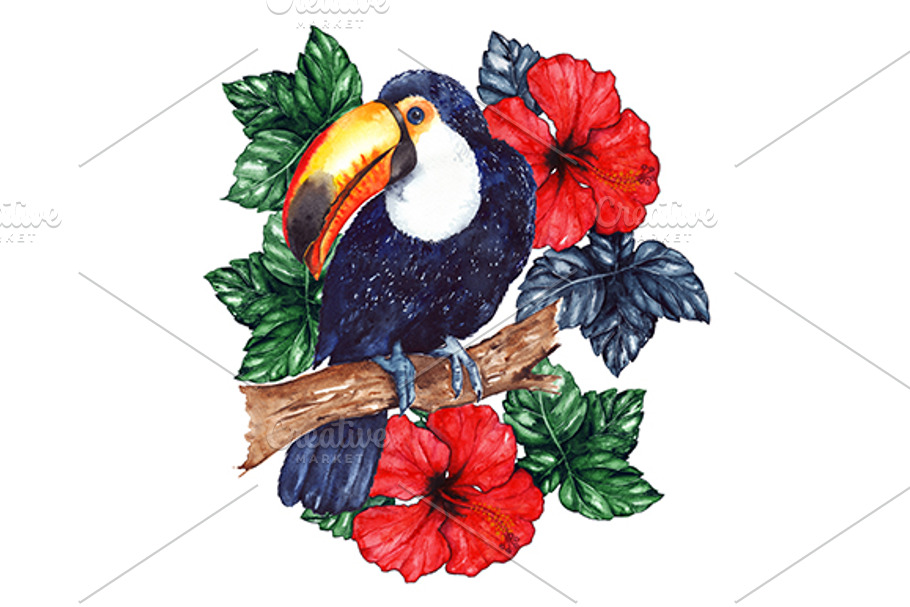 Watercolor toucan hibiscus isolated in Illustrations - product preview 8