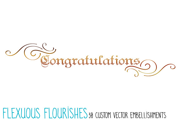 Flexuous Flourishes - Bundle of 30 in Illustrations - product preview 6