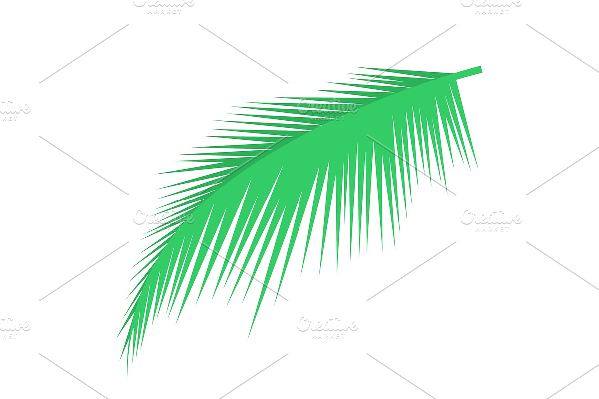 Palm leaf vector object in Objects - product preview 8