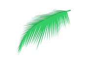 Palm leaf vector object
