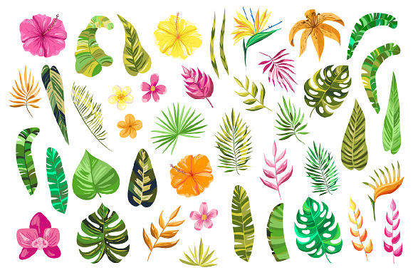 Vector Flower Paradise Set in Illustrations - product preview 1