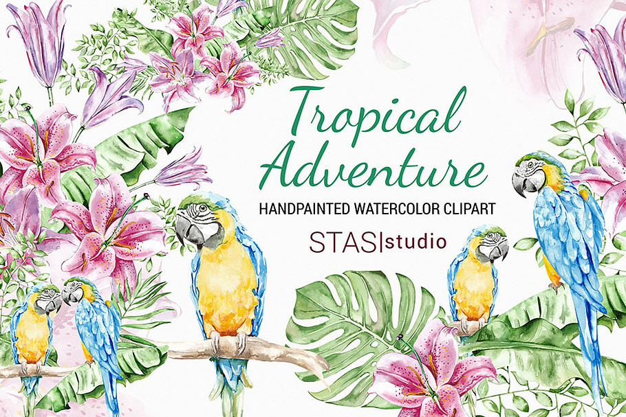 Summer Watercolor Clipart Parrot in Illustrations - product preview 8