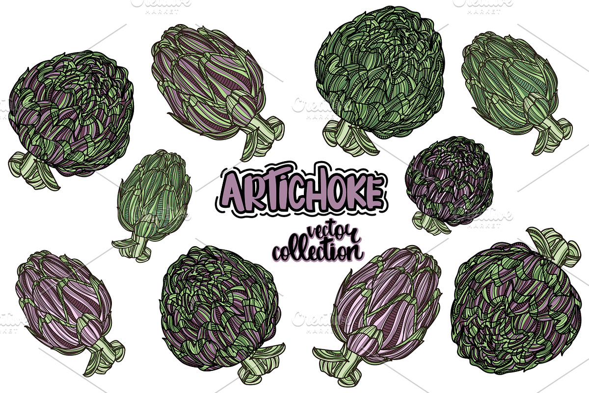 Artichoke vector collection in Illustrations - product preview 8