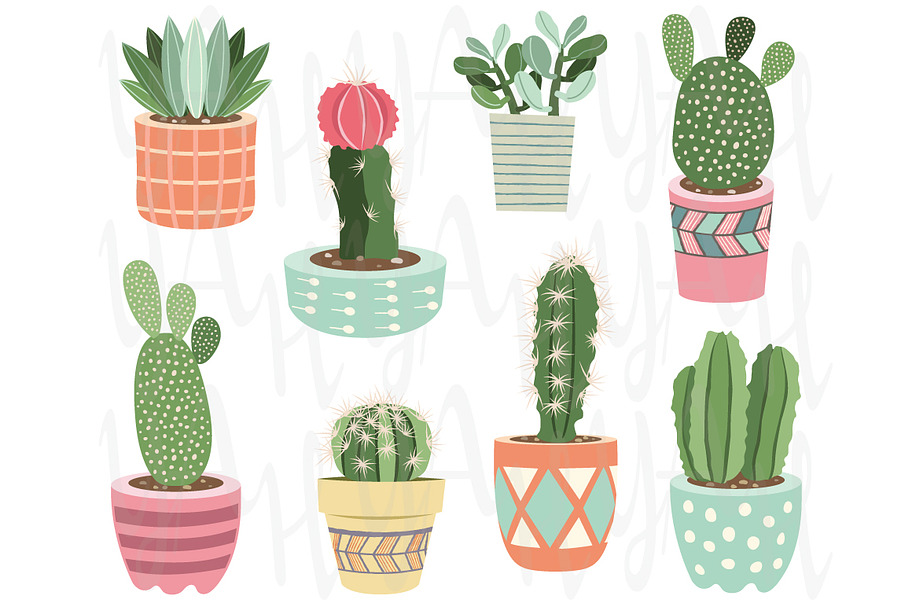 Cactuses potted plants Elements