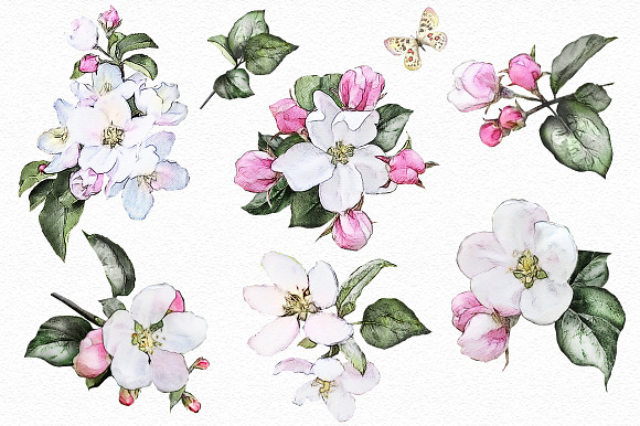 Watercolor flowers.  in Illustrations - product preview 1