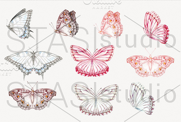 Watercolor Butterflies Clipart in Illustrations - product preview 1