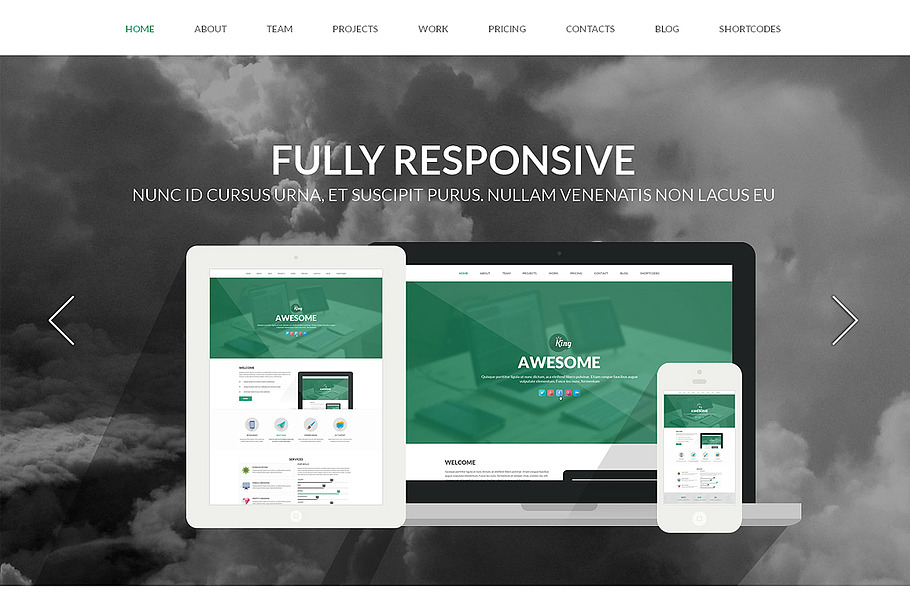 King Responsive One Page Theme