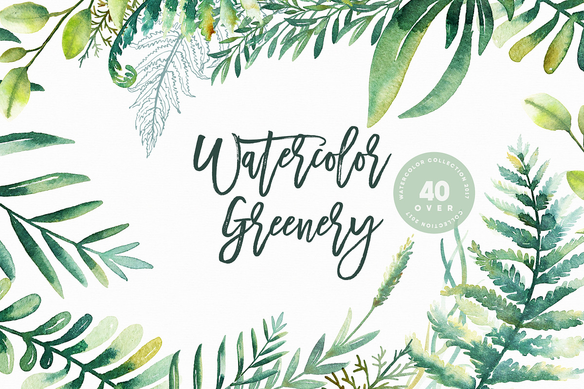 Watercolor Greenery in Illustrations - product preview 8