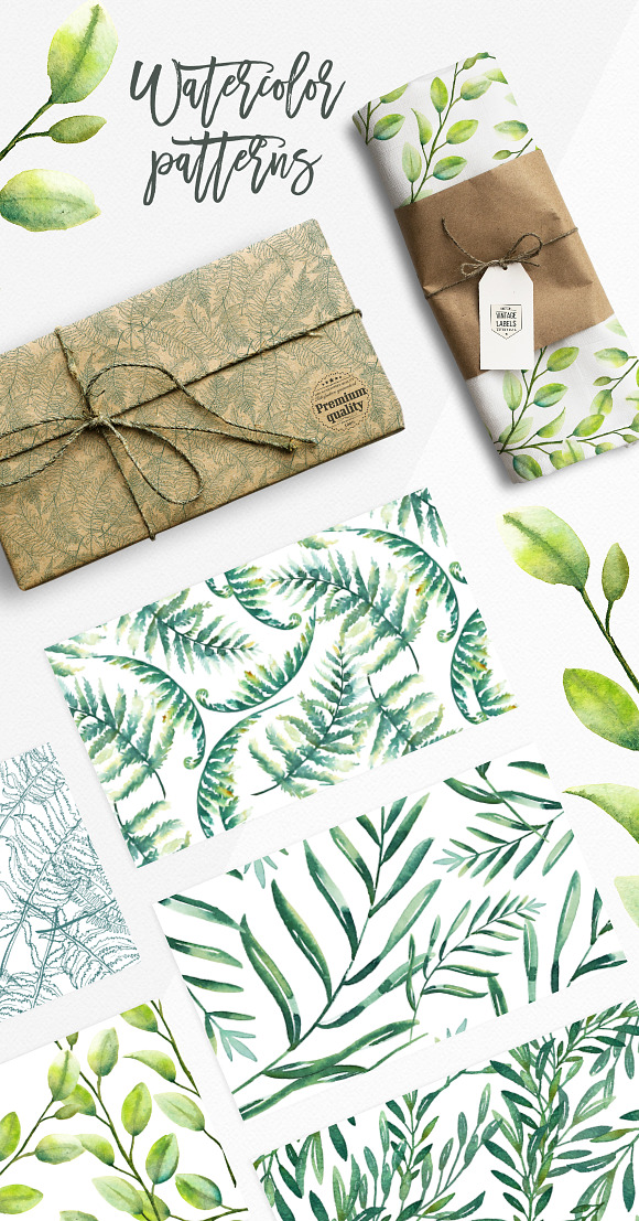 Watercolor Greenery in Illustrations - product preview 3