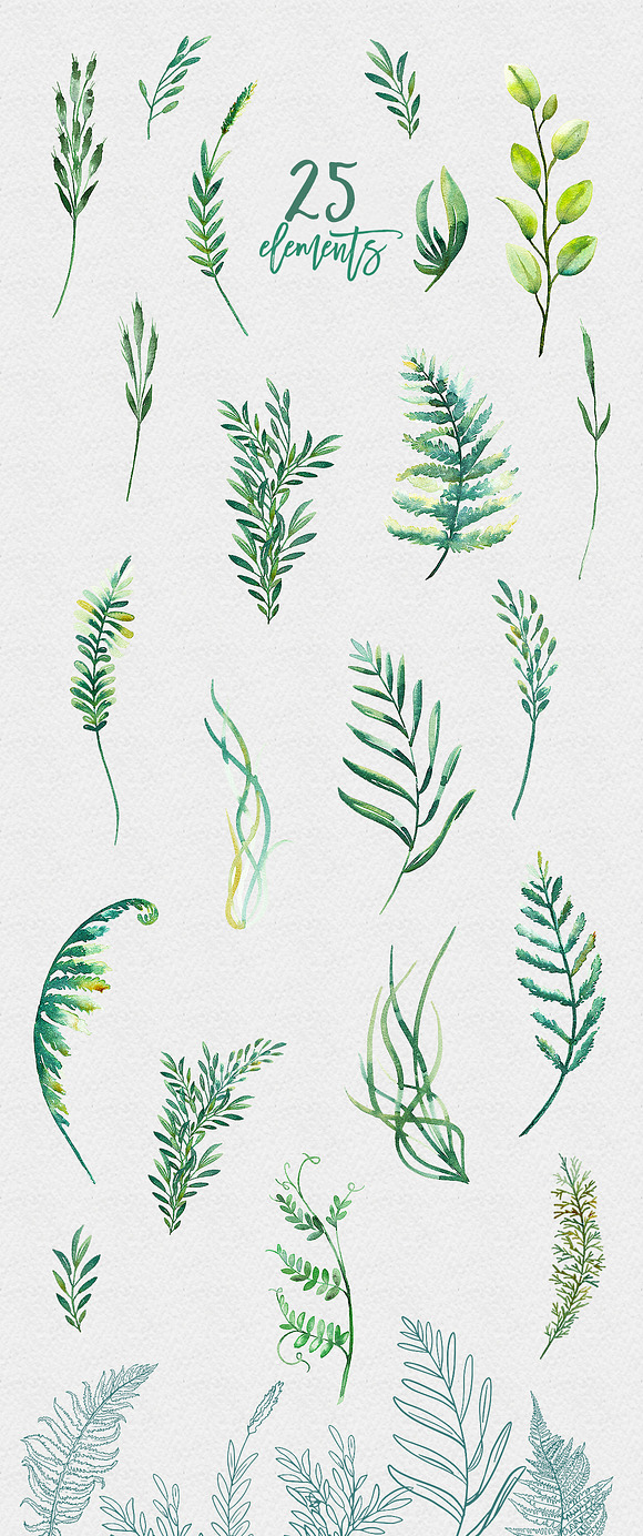 Watercolor Greenery in Illustrations - product preview 5