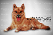 Finnish Spitz Dog Illustration