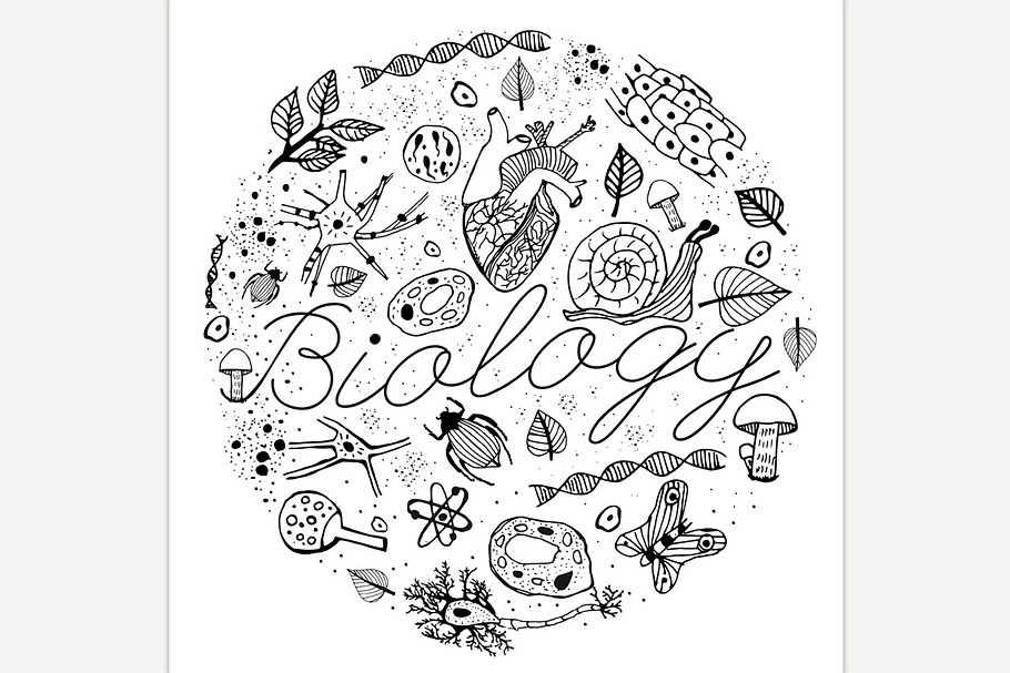 Biology Vector Doodles in Illustrations - product preview 8