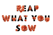 Reap What You Sow Flowers