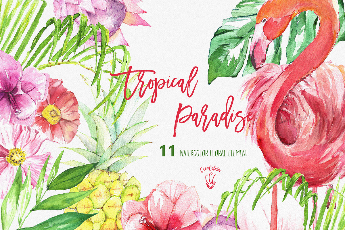 Tropical Clipart -Tropical Paradise in Illustrations - product preview 8