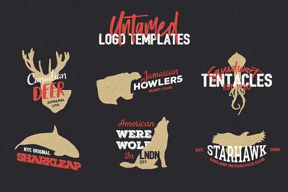 Untamed Graphic Design Kit in Illustrations - product preview 3