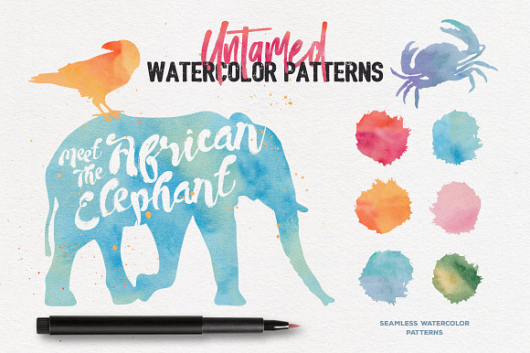 Untamed Graphic Design Kit in Illustrations - product preview 4