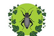 Cricket and Ivy Vector Illustration