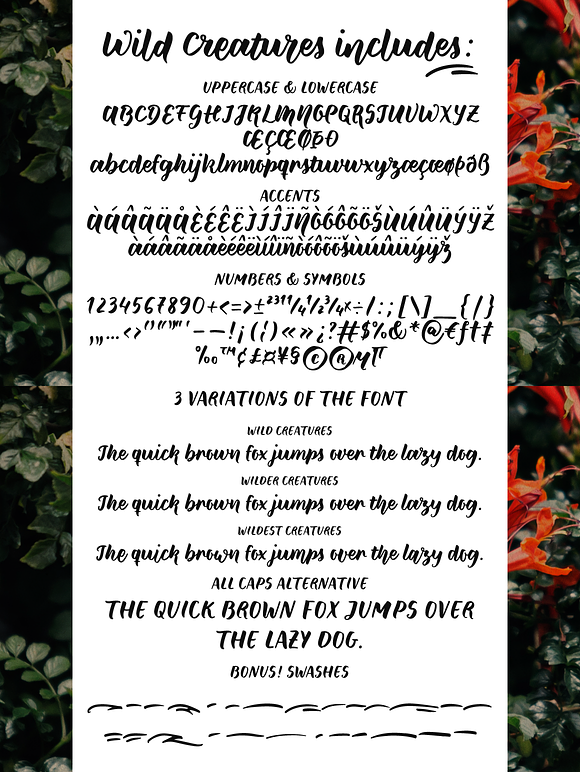 Wild Creatures brush font family in Display Fonts - product preview 1