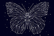  Constellation butterfly