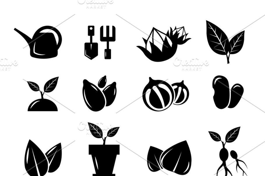 Seed and gardening vector icons in Graphics - product preview 8